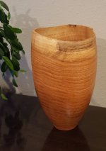 20200903_151803.jpg