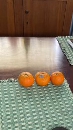 E5C9073D-4B3B-4306-B6E9-A66853E399E1.jpeg