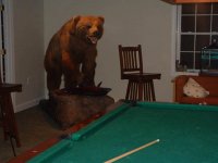 bear.JPG
