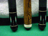 Barnhart Sarah1B.gif