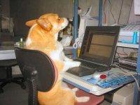 sysopdog.jpg