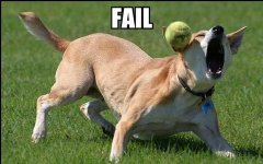 fail2.jpg