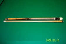 Gina cue Use.jpg
