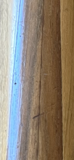 IMG_1238.PNG
