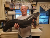 resized fish.jpg
