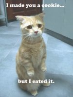 CatCookies.jpg