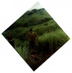 woody-apache snow.jpg