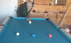 IMG_20220927_071127433.jpg