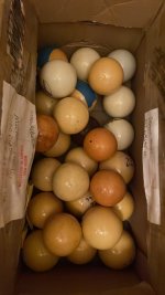 951F22D2-1CEA-4EA3-B16B-AD57630979DE.jpeg