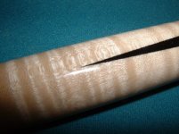 close up pts2.JPG