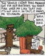 trees.jpg