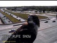 I820_Rufe_Snow.0810011026.jpg
