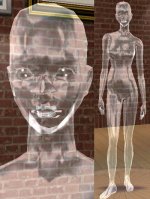 transparent-sim.jpg