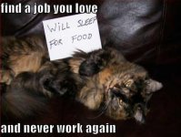 find-a-job-you-love.jpg