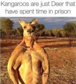 IMG_1650.jpeg
