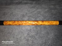 burl 2.jpg