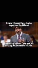 FB_IMG_1686578892991.jpg