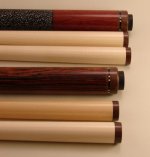 081012Pair_c.JPG