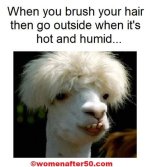 FB_IMG_1688781580864.jpg