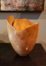 20230814_193556.jpg