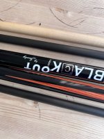 IMG_7504.jpeg