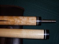DSCN0231.JPG