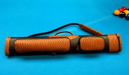Larrys-gear-case.jpg