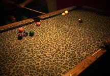 IMG_0955.jpeg