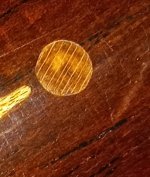 IMG_20231201_134925714~2.jpg
