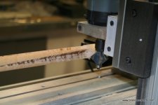 ivory cue 014.JPG