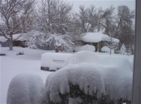 a snowy day in Colorado.JPG