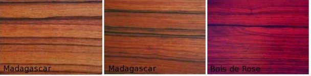 madagascarrosewoods.jpg