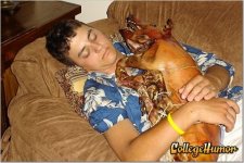 collegehumor.96af5c7f0458f8cab0014bf8971da675.jpg