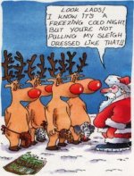 deer2.jpg