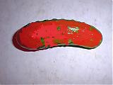 red pickle.jpg
