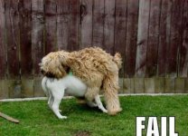 failuresu8.jpg