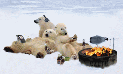 BBQ1.gif