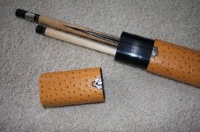 CASE2.jpg