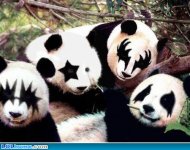 funny-picture-1024049690.jpg
