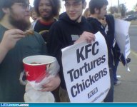 funny-picture-1037838780.jpg