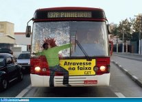 funny-picture-1087409226.jpg