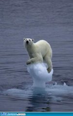 funny-picture-1337938934.jpg