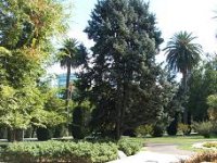 park small.JPG