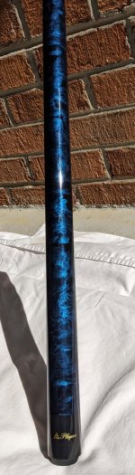 Butt in sun__Players logo.jpg