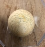 IMG_0387.jpeg