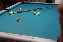 20240623_062151.jpg