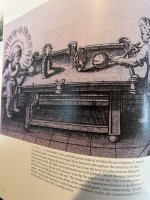 IMG_0905.jpeg
