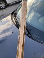 IMG_2216.JPEG