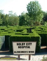 alzheimer wing.jpg