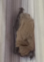 20240924_134547.jpg